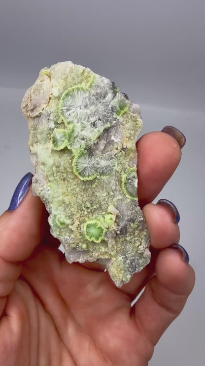 Wavellite No. 5 – Mauldin Mountain, Arkansas, USA