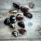RARE Blue Sumatran Tumbled Amber UV Reactive - Magick Souls