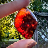 RARE Blue Sumatran Tumbled Amber UV Reactive - Magick Souls