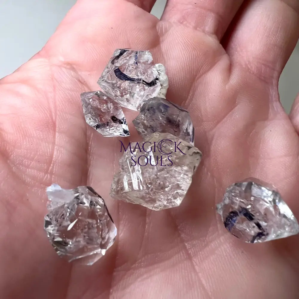 RARE Enhydro Herkimer Diamond - Magick Souls