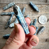 Rare Indigo Zimbabwe Kyanite Blades - Magick Souls