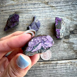 RARE Purpurite Mineral Specimen from Namibia - Magick Souls