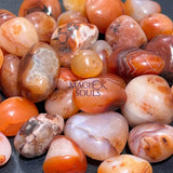 Red Carnelian Agate Tumbled Stones (By The Piece Or Pound) Bulk Wholesale Lot Home & Living > Home Decor > Home Accents