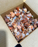 Red White Mixed Carnelian Agate Crystal Rough Raw Stones (By The Piece or Pound) Wholesale Home & Living > Home Decor >