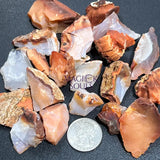 Red White Mixed Carnelian Agate Crystal Rough Raw Stones (By The Piece or Pound) Wholesale Home & Living > Home Decor >