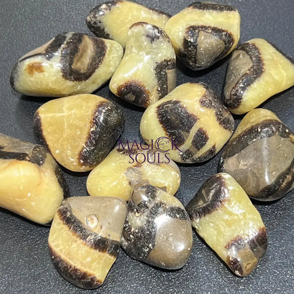 Septarian Calcite Nodule Tumbled (UV Reactive) Bulk Wholesale Lot Polished Gemstones Home & Living > Home Decor > Home