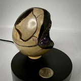 Septarian Druzy Dragon Egg UV Reactive Rocks & Fossils