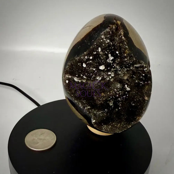 Septarian Druzy Dragon Egg UV Reactive Rocks & Fossils