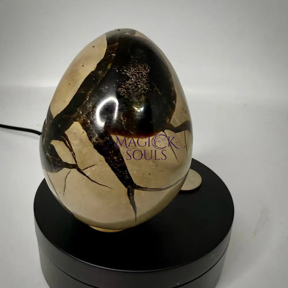 Septarian Druzy Dragon Egg UV Reactive Rocks & Fossils