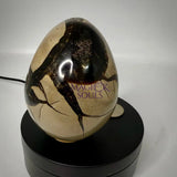 Septarian Druzy Dragon Egg UV Reactive Rocks & Fossils