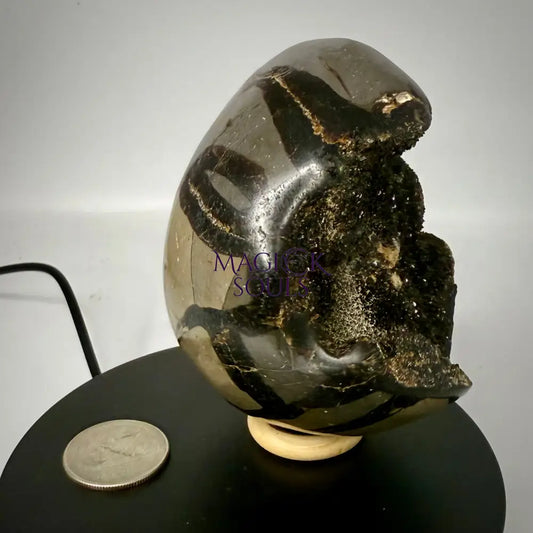 Septarian Druzy Dragon Egg UV Reactive Rocks & Fossils