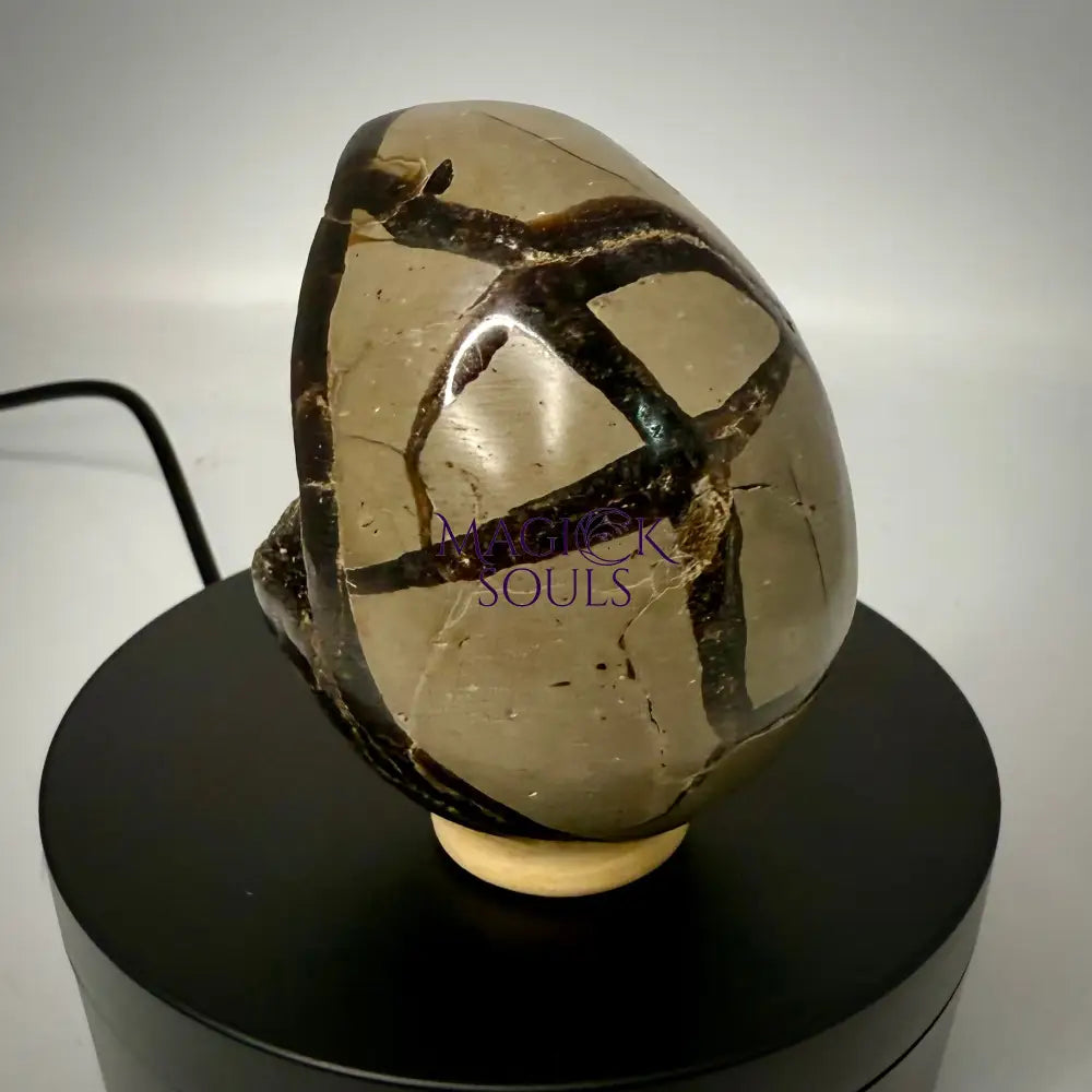 Septarian Druzy Dragon Egg UV Reactive Rocks & Fossils