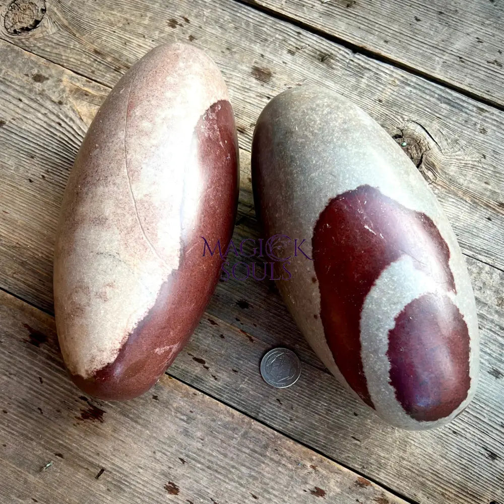 Shiva Lingam Narmada aka "The Holy Stone" Magick Souls