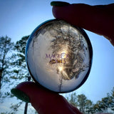 Smoky Quartz Crystal Bundle - Magick Souls