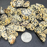 Spotted Dalmatian Jasper Tumbled Stones (By The Piece Or Pound) Wholesale Home & Living > Home Decor > Home Accents >