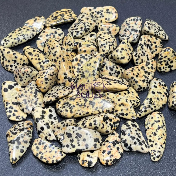Spotted Dalmatian Jasper Tumbled Stones (By The Piece Or Pound) Wholesale Home & Living > Home Decor > Home Accents >
