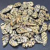 Spotted Dalmatian Jasper Tumbled Stones (By The Piece Or Pound) Wholesale Home & Living > Home Decor > Home Accents >