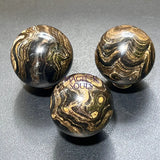 Stromatolite Fossil Spheres (1.5 Inches) Polished Carving Home & Living > Home Decor > Home Accents > Rocks & Geodes