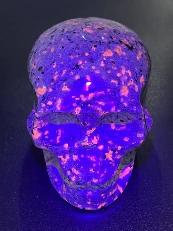 Syenite Skull Carving (UV Reactive)(3 Inches) Gemstone Crystal Home Decor Supply Home & Living > Home Decor > Home