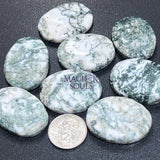 Tree Agate Cabochons Mixed Shapes And Sizes Bulk Wholesale Gemstone Jewelry Supply Craft Supplies & Tools > Beads Gems