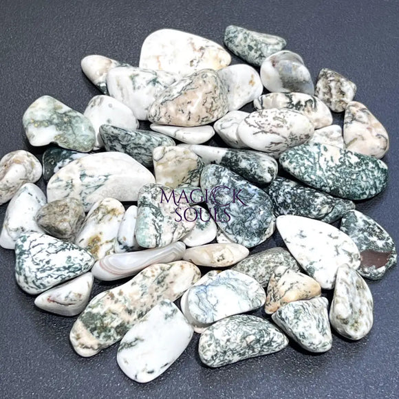Tree Agate Tumbled Stones (By The Piece Or Pound) Bulk Wholesale Lot Polished Gemstones Home & Living > Home Decor >