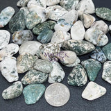 Tree Agate Tumbled Stones (By The Piece Or Pound) Bulk Wholesale Lot Polished Gemstones Home & Living > Home Decor >