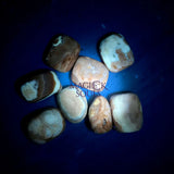 Tumbled Chocolate Root Beer Calcite UV Reactive - Magick Souls