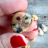 Tumbled Crazy Lace Agate Crystal - Magick Souls
