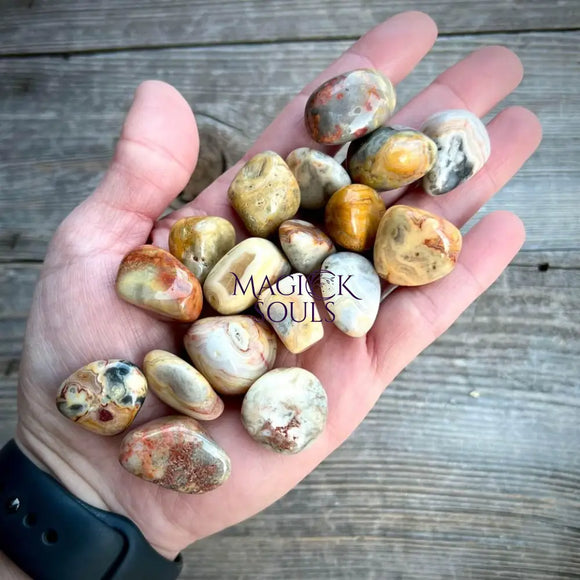 Tumbled Crazy Lace Agate Crystal - Magick Souls