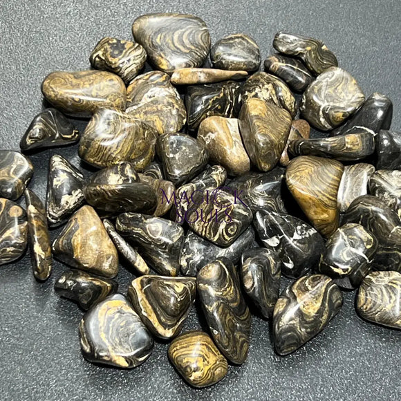 Tumbled Stromatolite Fossil Stones (By The Piece or Pound) Wholesale Home & Living > Home Decor > Home Accents > Rocks