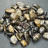 Tumbled Stromatolite Fossil Stones (By The Piece or Pound) Wholesale Home & Living > Home Decor > Home Accents > Rocks