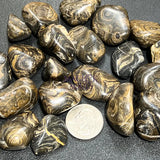Tumbled Stromatolite Fossil Stones (By The Piece or Pound) Wholesale Home & Living > Home Decor > Home Accents > Rocks