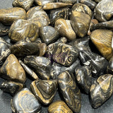 Tumbled Stromatolite Fossil Stones (By The Piece or Pound) Wholesale Home & Living > Home Decor > Home Accents > Rocks