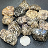 Turritella Agate Tumbled Fossil Stone (UV Reactive)(By The Piece Or Pound) Bulk Wholesale Gemstone Supply Home & Living