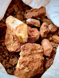 Unmined Arkansas Clear Quartz Crystals Magick Souls