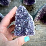 Uruguay Flat Base Amethyst Cluster - Magick Souls