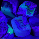 Volcanic Agate Tumbled (UV Reactive)(By The Piece Or Pound) Bulk Wholesale Supply Home & Living > Home Decor > Home