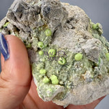 Wavellite – Mauldin Mountain Arkansas USA Rocks & Fossils