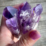 Amethyst Bahia Root Elestial Dragon Tooth Wand