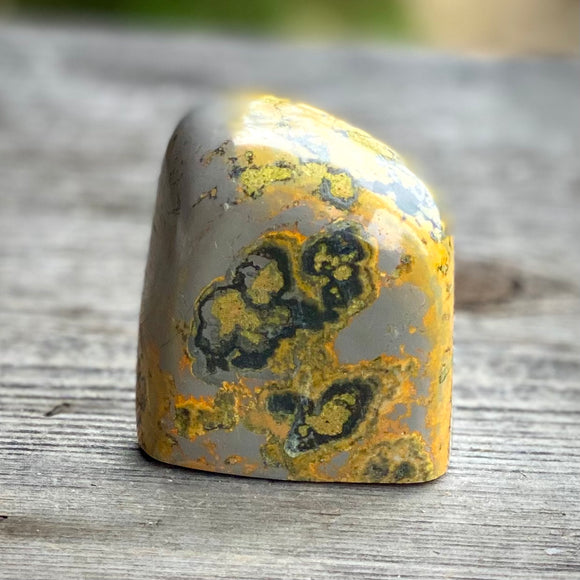 Bumblebee Jasper Freeform