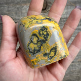 Bumblebee Jasper Freeform