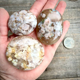 Flower Agate Palm Stones