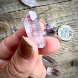 Vera Cruz Amethyst Point