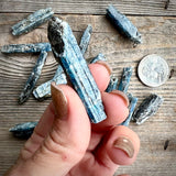 Rare Indigo Zimbabwe Kyanite Blades